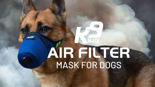Good Air Team