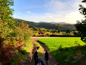 Photo n°8 de Wanderreitstation Chez Cindy à Merkwiller-Pechelbronn (Centre de randonnée équestre)