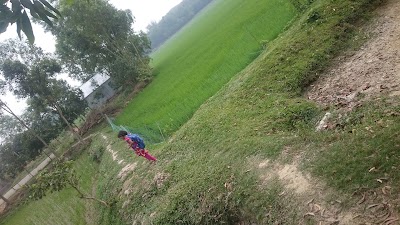 Photos of Charnal Madrasa