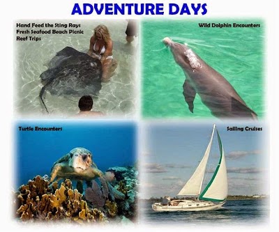 Photos of Brendals Dive Center & Water Sports / Harbour View Cart Rentals