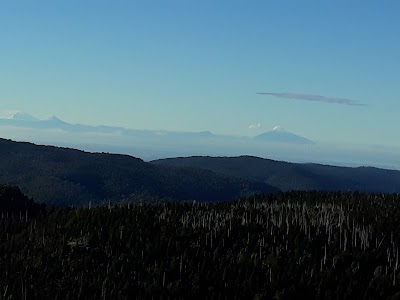 Photos of Alerce Costero Natural Monument