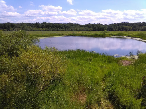 Carol H Sweet Nature Center - United States