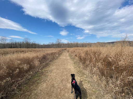 Mawignack Preserve - Thumbnail