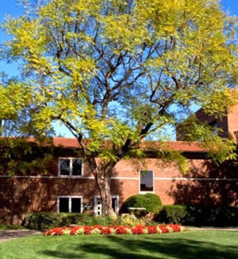 HENDERSON UNIVERSITY