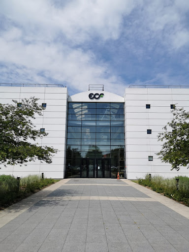 ECF Group Logo
