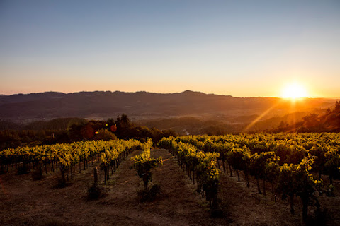 Hertelendy Vineyards by null