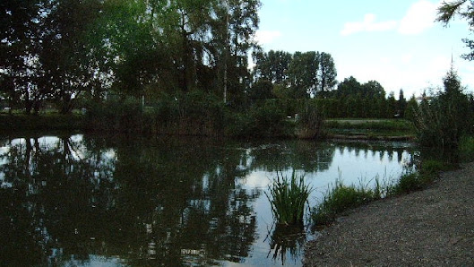 Forellen Angelparadies Kranenburg te Baay Zum Bienenhaus 1, 47559 Kranenburg