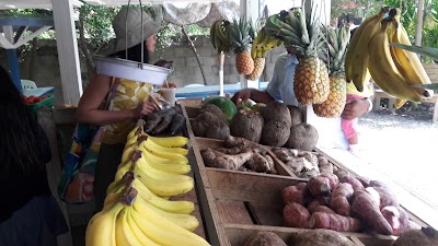 Photos of Fruity Web