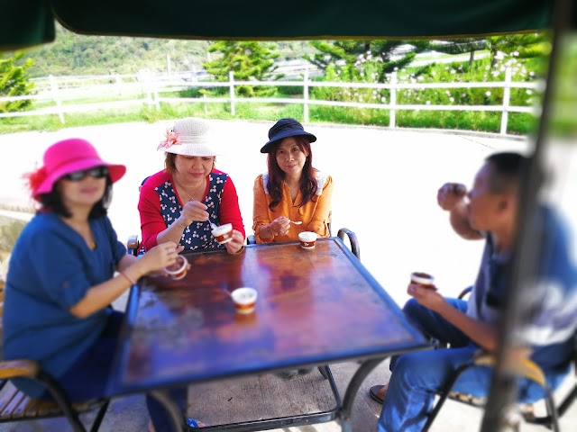 Desa Cattle Dairy Farm