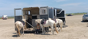 Photo n°34 de PROVENCE GUIDE à Aix-en-Provence (Agence de visites touristiques)