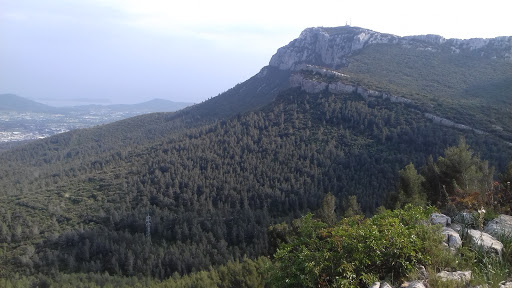 Photo de La Belle Gensiere à Solliès-Toucas (83210)