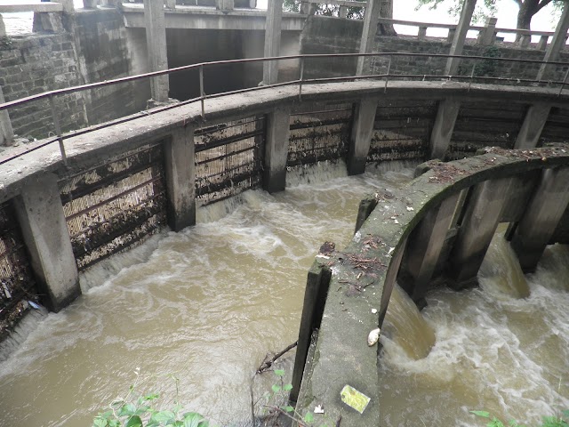 Xuanwuhu Park