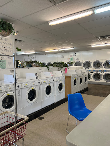 Excell Laundry - Visual