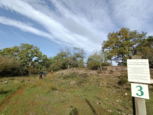 Camp préhistorique de Myard - Thumbnail