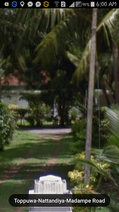 Photos of Negombo Road Bus Stop