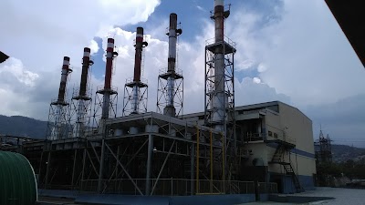 Photos of Shell