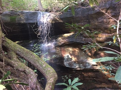 Photos of Sheltowee Trace Trailhead (section 24, London District)