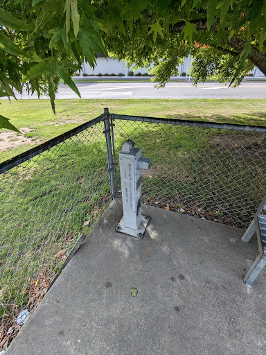Ashburton Skatepark - Thumbnail