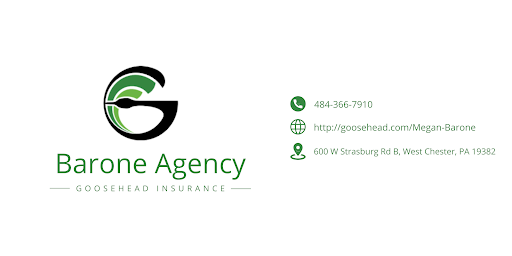 Goosehead Insurance- Megan Barone - Thumbnail