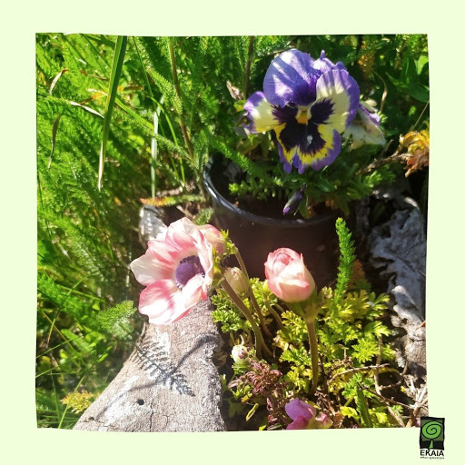 Ekaia Eko Compost - Visual