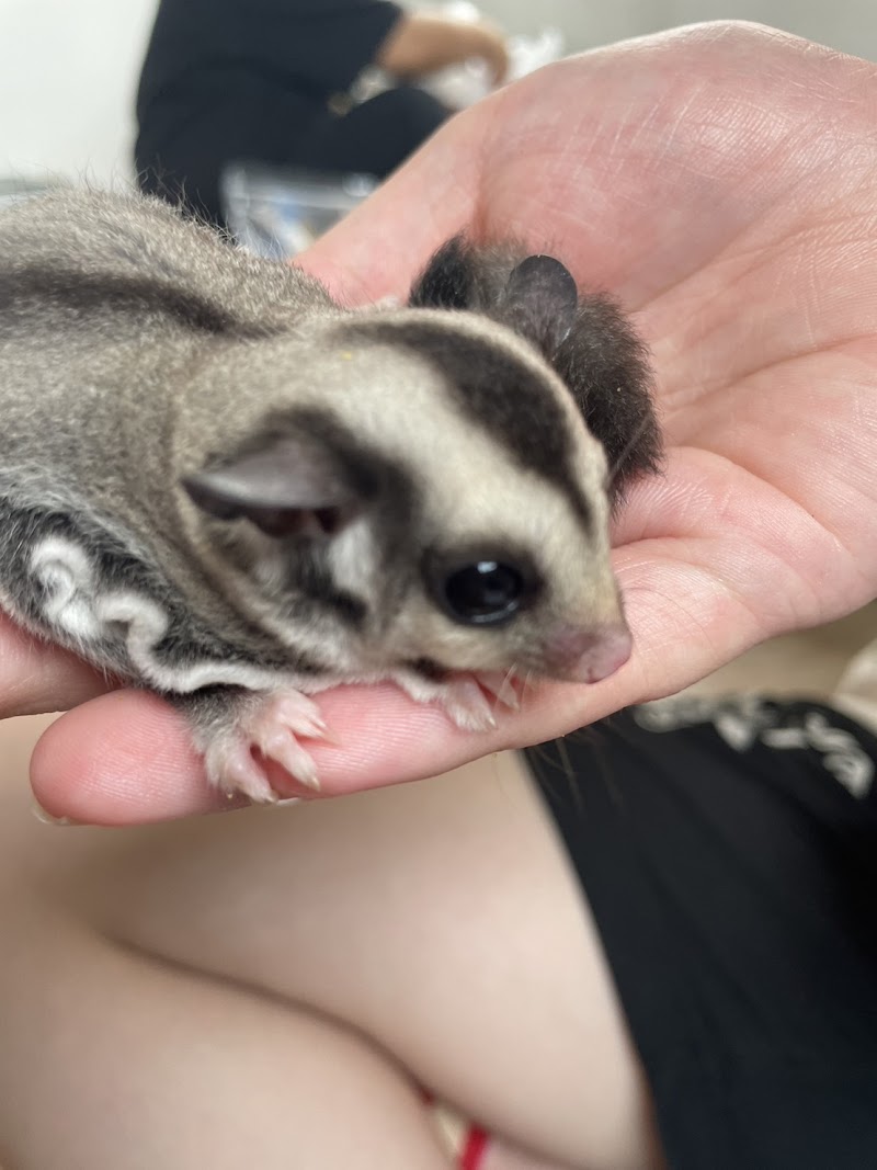 就労継続支援B型ももちゃんのおうち