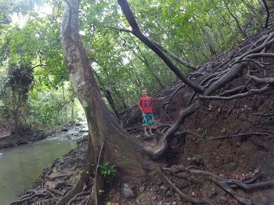 Photos of Montezuma Waterfall