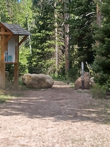 North Fork Overflow Campground