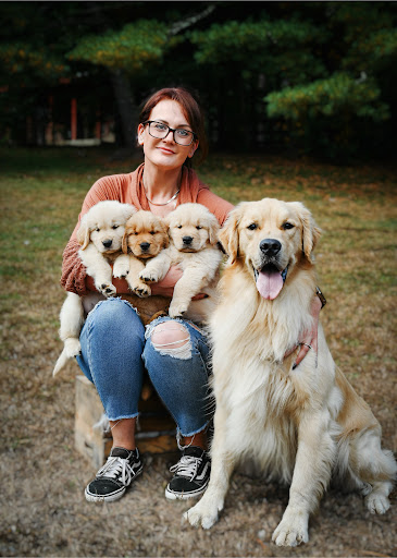 Platinum Golden Retrievers - Thumbnail
