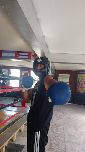 Academia De Boxeo Zayun Gallery - Mexico
