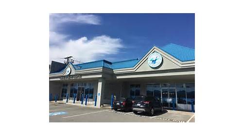 Coastal Rivers Pet Hospital - Thumbnail