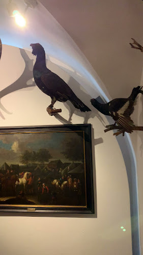 Opinie o Muzeum Łowiectwa i Jeździectwa w Mokotów - Muzeum