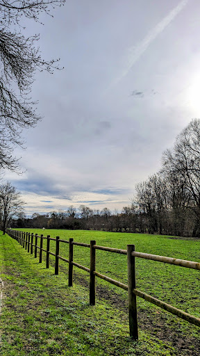 Les Bords de l'Yerres - Thumbnail