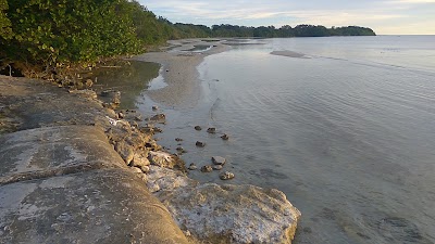 Photos of Dos Mulas
