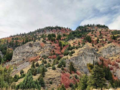 Uinta-Wasatch-Cache National Forest