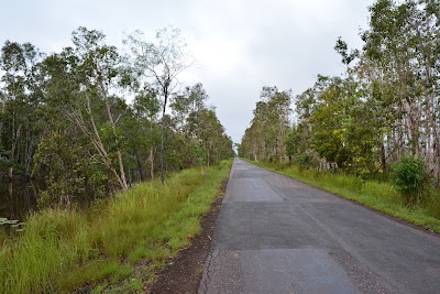 Photos of Wasur National Park