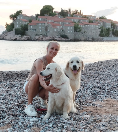 Allevamento Golden Retriever Aupa