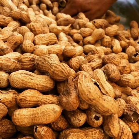 East Los Angeles Certified Farmers Market by null