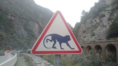 Photos of Ruisseau Des Singes