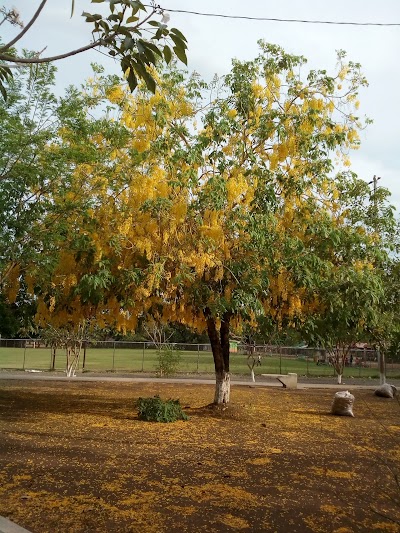 Photos of Colorado Centro Park