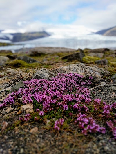 Photos of Fjalls&aacute;rl&oacute;n Iceberg Boat Tours