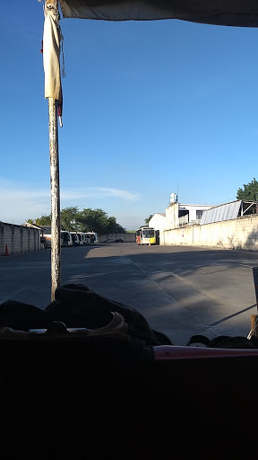 Pullman de Morelos - Visual