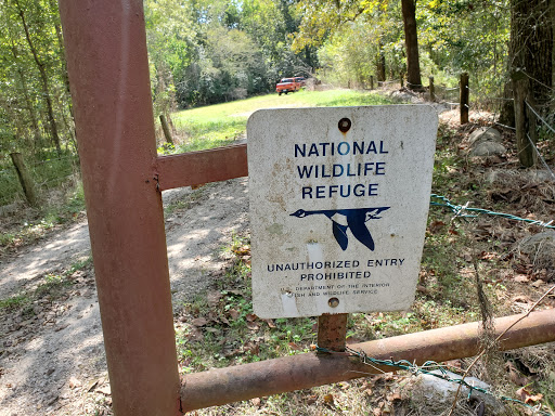 Brierwood Unit Parking Lot, Trinity River National Wildlife Refuge - Thumbnail
