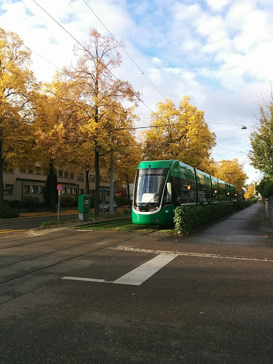 Bernerring - Thumbnail