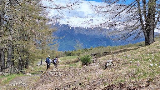 Trekking Alps - Thumbnail