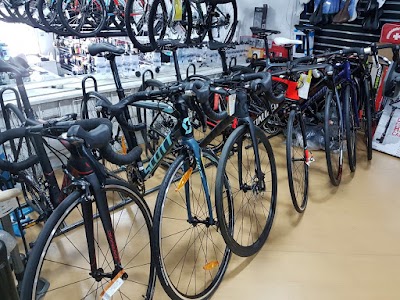 Photos of TODOBICI
