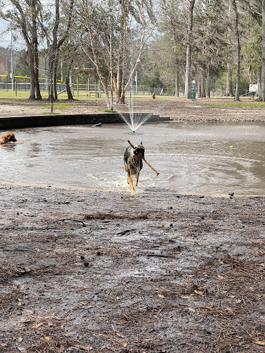 Bryan County Bark Park - Thumbnail