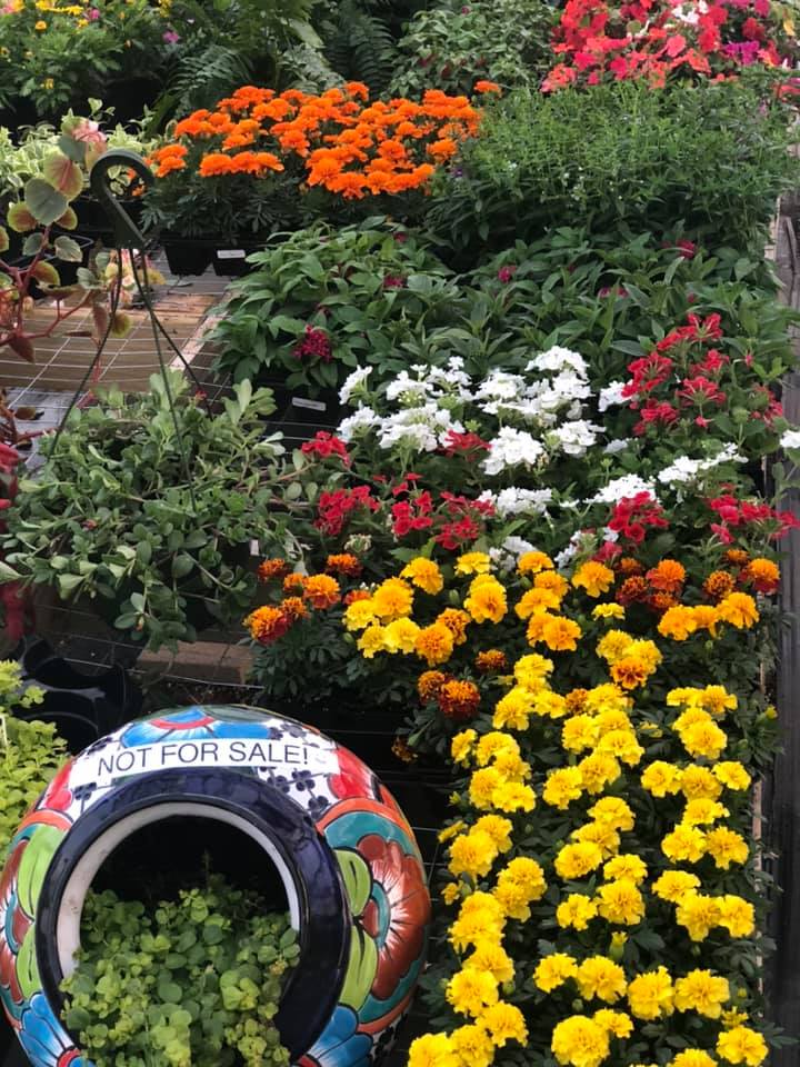 El Huerto Nursery