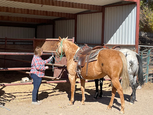 Trail Rides at Running Horse Ranch - Thumbnail