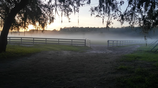 Bay Tree Farm - Visual