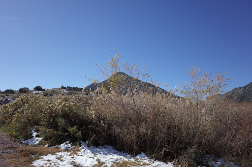 AHRA - Parkdale Recreation Site - Thumbnail